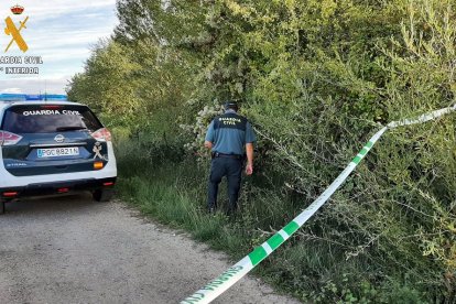 Dispositivo de búsqueda de la Guardia Civil. - EUROPA PRESS