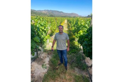 Gerardo Brox acumula 20 años de experiencia en los viñedos de Ribera del Duero. - E. M.