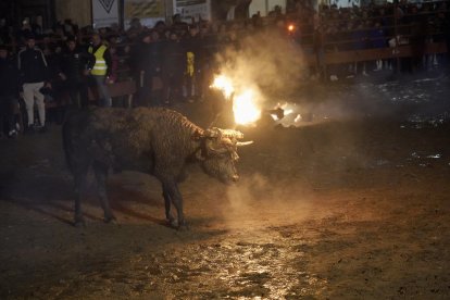 Celebración del Toro de Júbilo de Medinaceli en Soria.-ICAL