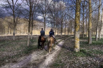 Paseo a caballo por el Espadañal, una gran extensión de agua donde podremos encontrar la más variada fauna de la comarca de Cuéllar.  / JUAN CARLOS DE LA FUENTE