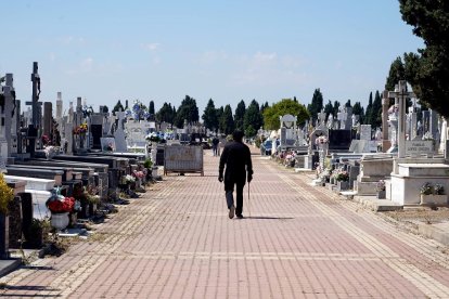 Cementerio de El Carmen en Valladolid. - ICAL