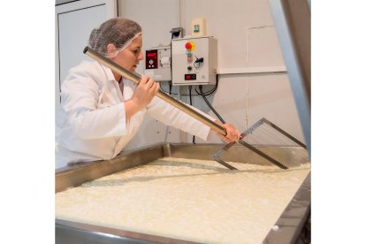 María José Casillas ha irrumpido en la zona con pastas blandas, tipo brie o camembert, en las que utiliza fermentos traídos directamente de Francia. - LA POSADA