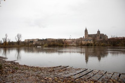 El cauce del Tormes desbordado a su paso por Salamanca. - ICAL