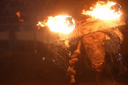 Pacma tomará medidas legales por el evento del Toro de Júbilo de Medinaceli (Soria), el "más bochornoso de la historia" - PACMA