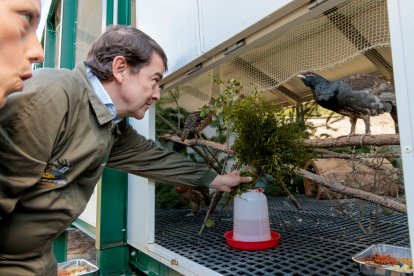 El presidente de la Junta, Alfonso Fernández Mañueco, visita las instalaciones del Centro de Cría del Urogallo en la Finca Valsemana de La Ercina en León.-ICAL