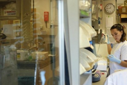 Una investigadora en uno de los laboratorios del Centro de Investigación del Cáncer de Salamanca. ENRIQUE CARRASCAL