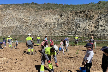 Dos grupos de escolares participan en una plantación de árboles en la cantera de Cementos Cosmos en Corullón (León). - Ical