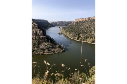 El río Duero vertebra la comunidad de este a oeste, a través de cinco provincias, pero  de sus aguas emanan otros  afluentes que ofrecen al visitante  una experiencia  única en torno al patrimonio, la historia y la gastronomía en una apuesta única de turismo de interior.