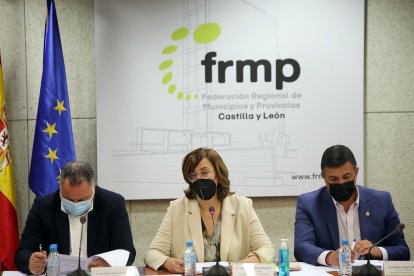 La presidenta de la Federaci?n Regional de Municipios y Provincias (FRMP) de Castilla y León, Ángeles Armisén, durante la reunión de la Comisión Ejecutiva.- ICAL