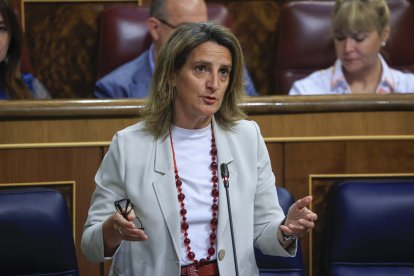 Teresa Ribera, en una imagen de archivo en el Congreso. E. M.