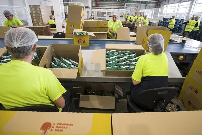 Trabajadores en sus puestos en la fábrica Pepsico en Burgos. ICAL