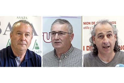 Donaciano Dujo, de Asaja; Lorenzo Rivera, de UPA-COAG; Jesús M.G. Palacín, de UCCL. -E.M.