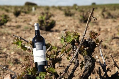 Una botella Cuatro Rayas Longverdejo Viñedos 
Centenarios 2020. / E.M.