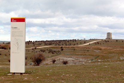 Yaciniento de Uxama, en El Burgo, donde se produjo el expolio.- E. M.