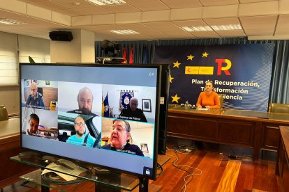 La delegada del Gobierno en Castilla y León, Virginia Barcones, durante la reunión.- ICAL