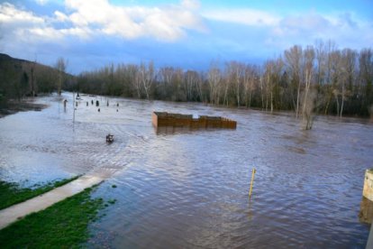 Río Tera desbordado por las precipitaciones. -HDS