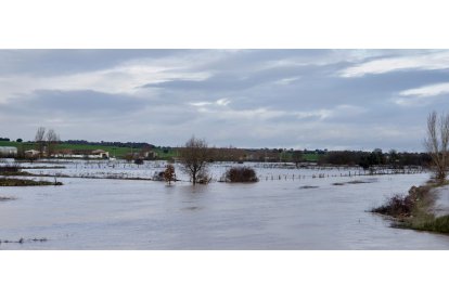 Las fuertes lluvias caídas en la provincia de Salamanca dejan inundaciones en pueblos y campos de cultivo - ICAL