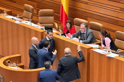 Los procuradores de los grupos parlamentarios, reunidos con Pollán antes de la suspensión del pleno.- E. M.