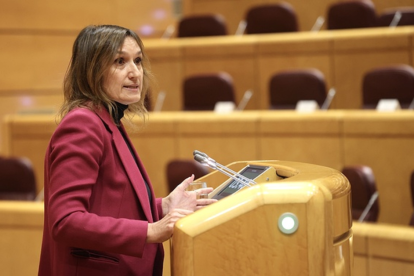 La consejera de Educación, Rocío Lucas, interviene en la Comisión General de las Comunidades Autónomas de la Cámara Alta. Juan Lázaro/ Ical