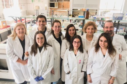 Investigadores participantes en el estudio del que forma parte el Instituto de Biología y Genética Molecular. - E.M.