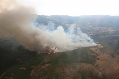 Incendio en Pineda de la Sierra (Burgos).- ICAL