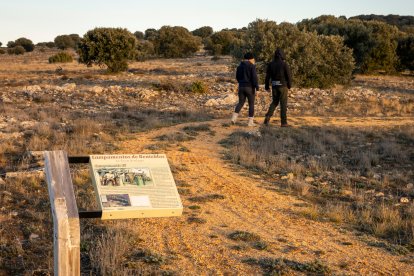 Una pareja recorre la ruta de los campamentos romanos de Renieblas esta semana, entre los restos de los muros y los paneles explicativos sobre estas instalaciones milenarias. / MARIO TEJEDO