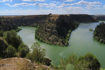 Hoces del Duratón.- ICAL