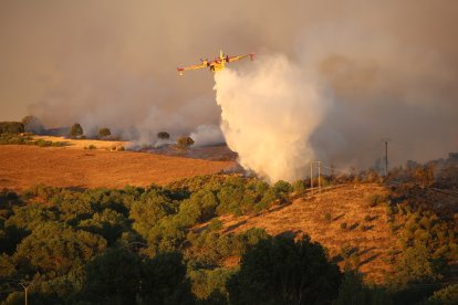 Incendio en Losacio de Alba.- ICAL