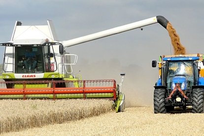 Una cosechadora corta el cereal y arroja el grano en un remolque para su almacenaje. PQS / CCO