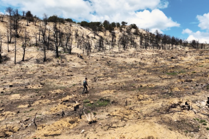 Territorio arrasado por el incendio en Arlanza. -GOTEO.ORG