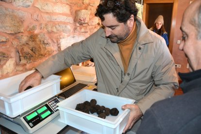 Clasificando trufas para uno de los lotes que salen a subasta. RAQUEL FERNANDEZ