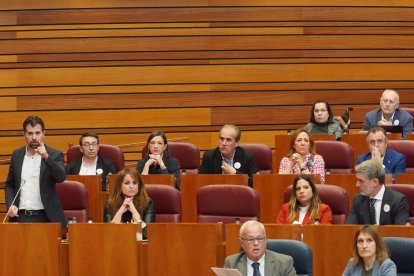 Una imagen del anterior pleno de la bancada socialista en las Cortes de Castilla y León. ICAL