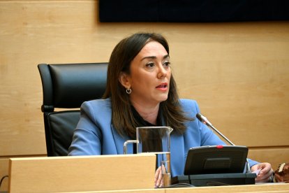 La consejera de Movilidad y Transformación Digital, maría González Corral, durante la comparecencia en las Cortes.- E. M.