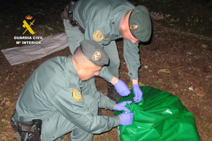 Investigan a un hombre que mató a un perro de un disparo en la cabeza en Zamora