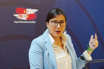 La secretaria de Organización del PSOE en Castilla y León, Ana Sánchez, comparece ante la prensa.