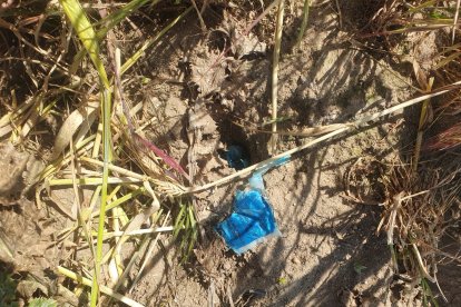 Bolsas con rodenticida en pasta encontradas en la Moraña