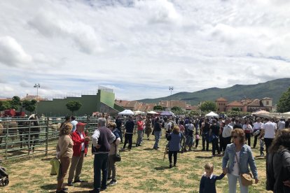 Actividades en la fiesta del Esquileo de Riaza que se han realizado en anteriores ediciones.