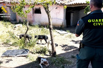 GUARDIA CIVIL - Archivo