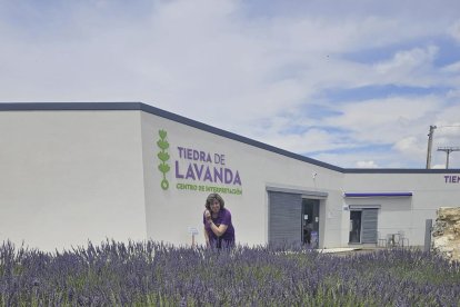 Campos de lavanda ubicados junto a la empresa ‘Tiedra de Lavanda’