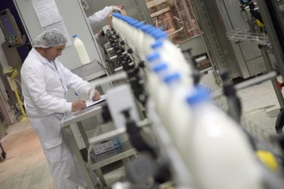 Una de las líneas de envasado en la factoría vallisoletana Lauki, del grupo francés Lactalis.