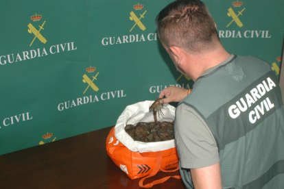 Un agente de la Guardia Civil con los cangrejos incautados.