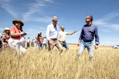 Gerardo Dueñas presenta la previsión de cosecha de cereal de invierno. ICAL