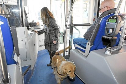 Una persona invidente accede al autobús con su perro guía, en una imagen de archivo.