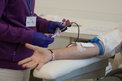 Donación de sangre en el Centro de Hemoterapia.