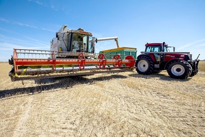 Cosechadora en un campo de cereal de la provincia de Ávila. ICAL