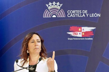 La secretaria general del Grupo Parlamentario Socialista en las Cortes de Castilla y León, Rosa Rubio.