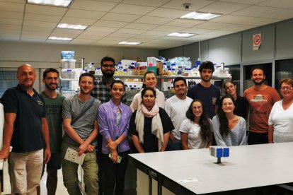 Miembros del Laboratorio de Plagas y Enfermedades Forestales del Campus de Palencia con Julio Javier Diez Casero, a la izquierda, como coordinador