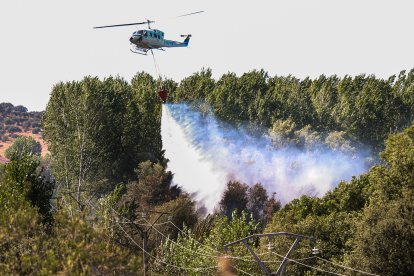 Hasta once medios, incluyendo dos helicópteros, logran controlar en apenas una hora las llamas originadas en la comarca de Ciudad Rodrigo