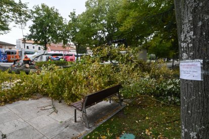 La borrasca Kirk deja fuertes rachas de viento en Burgos