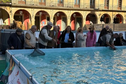 Una de las piscinas de la Plaza Mayor de León destinadas a la pesca recreativa de truchas